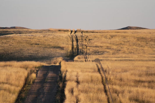 Ride-Ready in Minutes: Our Favorite Trailheads for a Quick Escape
